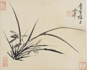 Landscapes, Flowers and Birds: Orchid, Qing Dynasty, 1780